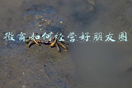 微信朋友圈微商；微信朋友圈微商广告被折叠怎么设置
