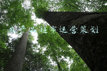 农产品超市门头(福泉：积极探索农产品“树状流通”体系建设新模式)