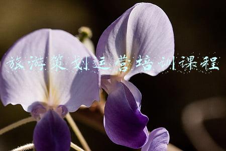 旅游策划运营培训课程