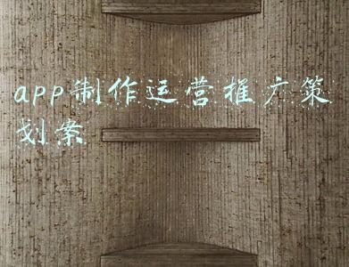 app制作运营推广策划案