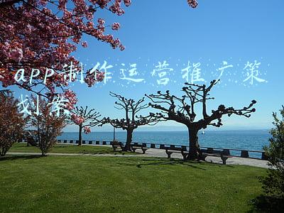 app开发策划案(如何快速开发一个app)