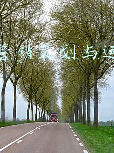 电视台策划是做什么的(主创剧透河南卫视《重阳奇妙游》：用情和味串联古代民俗礼制)