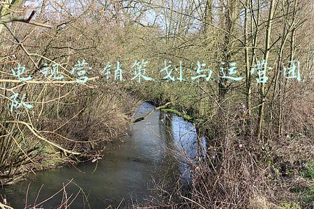 电视营销策划与运营团队