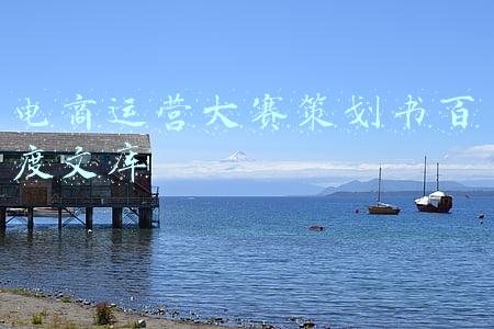 电商运营大赛策划书百度文库