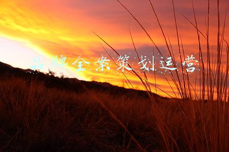品牌全案策划案例(Shapefree 乎息 内衣品牌策划全案-ABD案例)
