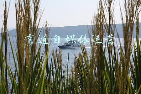 网易有道产品运营(网易有道K12业务占比超40%，双减政策下将持续调整与过渡)
