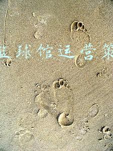 幼儿篮球  手册(《小篮球教练员指导手册（针对12岁以下少年儿童）》课题组会议)
