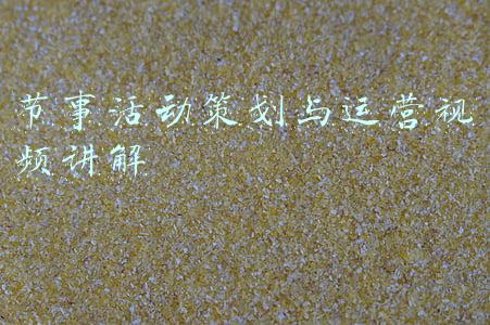 节事活动策划与运营视频讲解