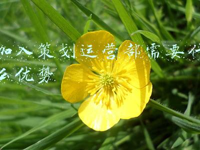 加入策划运营部需要什么优势