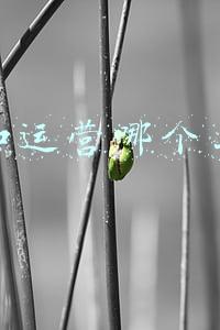 策划和运营哪个工资高