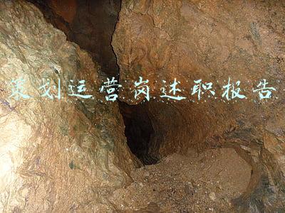 策划运营岗述职报告