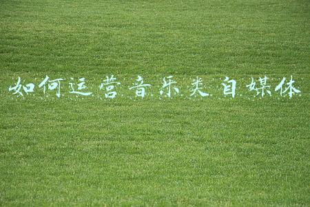 如何运营音乐类自媒体