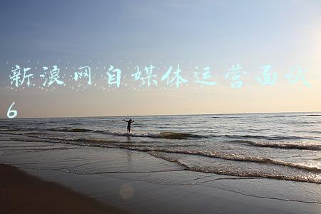 新浪网自媒体运营面试6
