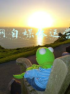 新浪网自媒体运营面试6