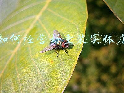 实体店童装好做吗，现在童装实体店好做吗