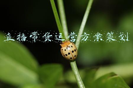 直播带货运营方案策划