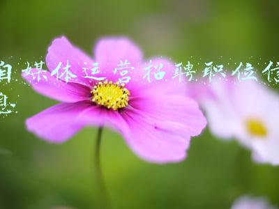 新媒体运营职位说明书(eHR：企业招聘管理系统设计)