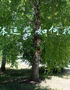 如何给你的自媒体找准定位(我，深耕自媒体3年的全职妈妈，分享3个窍门，教你轻松定位)