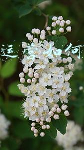 自媒体的定位(想做自媒体，如何找准自己的定位？)