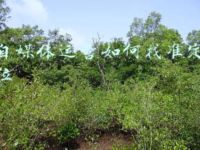 自媒体怎么定位领域(如何选出最适合自己的创作领域，看这篇你就知道了)