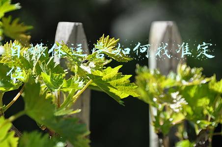 自媒体定位的要素(4个方法教你找到自媒体写作的定位，掌握好了，流量大涨粉丝翻倍)