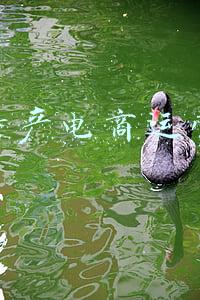 贵州农特产电商平台(2022“南山婆”杯首届“黔系列”+快手电商直播大赛启动)