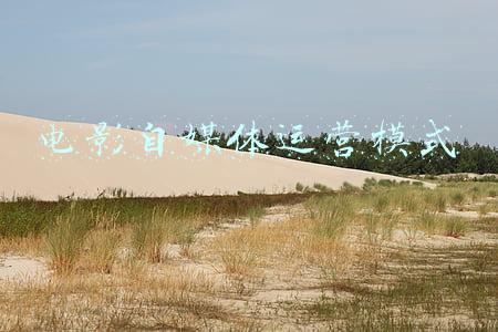 电影类自媒体(他靠看电影运营自媒体，单篇内容最高涨粉8000)