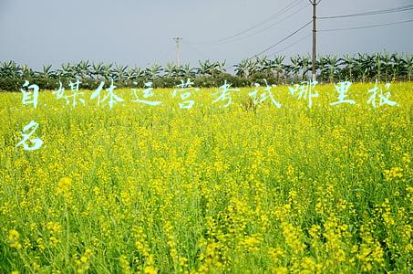 全媒体运营师报名入口(首选赋能：全媒体运营师如何报名？主要学习哪些课程内容？)