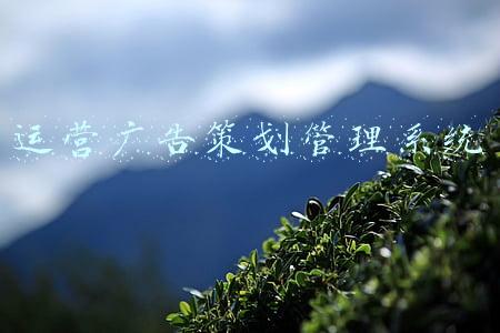 运营广告策划管理系统