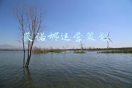 薇诺娜研发团队(隐形巨头｜上市700亿市值，小众的薇诺娜凭什么比完美日记更值钱？)