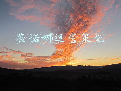 薇诺娜(薇诺娜陷入突围困境)