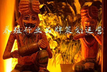养殖行业品牌策划运营