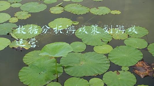 游戏运营数据分析报告(2021中国云游戏产业发展现状及主要服务商分析「图」)
