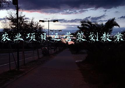 农业项目运营策划教案