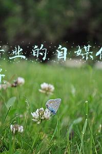什么行业的自媒体运营前景好