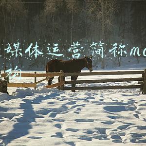 自媒体mcn(加入MCN机构是好还是不好？)