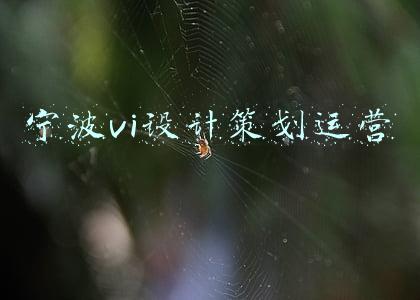 宁波品牌策划(宁波品牌节开幕，本意策划品牌为其添上一笔重彩！)