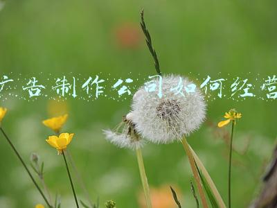 广告制作公司简介 广告公司简介