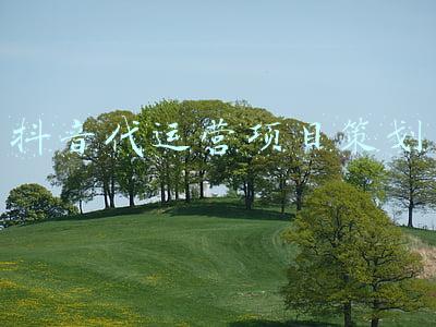 抖音代运营项目策划