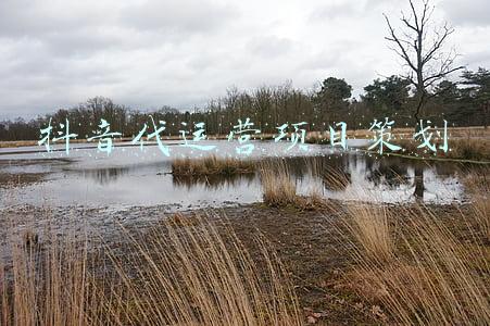 抖音代运营项目策划