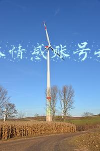 情感自媒体账号介绍(“从今天起，我就是个情感博主了”)
