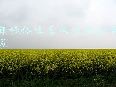 自媒体运营的工作规划怎么写(做自媒体自我简单粗糙总结（一顿瞎写ha）)