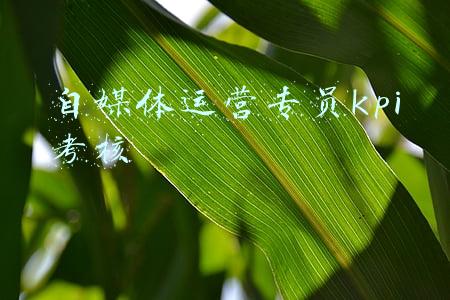 人事专员kpi考核指标(年薪260万人力资源总监，呕心沥血总结：34页企业KPI绩效考核合集)