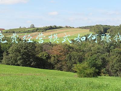 污水处理厂经营模式：污水处理经营模式
