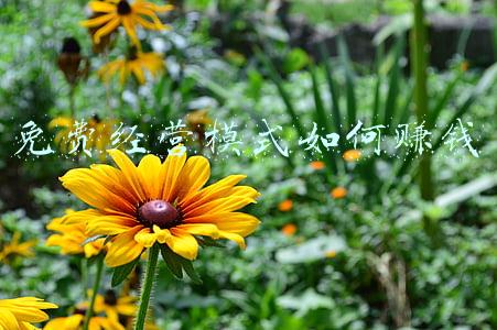 托管经营模式_托管班经营模式