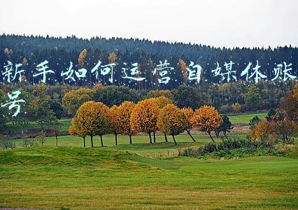 自媒体新手入门ppt(帮大学老师设计了一份，新媒体微课PPT，红色的效果老好了)