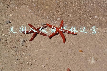 美国人做自媒体运营