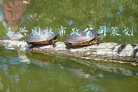 嘉兴市嘉环园林工程有限公司(今天，嘉禾收呗在南湖区上线！投放可回收物用“收呗”领“红包”)