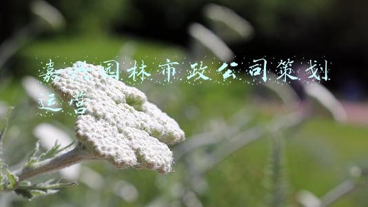 嘉兴园林市政公司策划运营