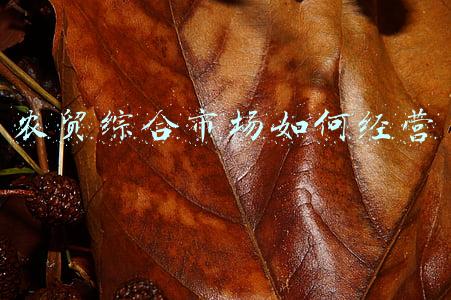 农贸市场建设 农贸市场建设规划方案